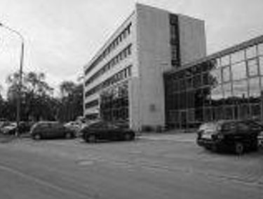 Zdjęcie 15129559