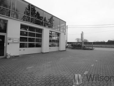Zdjęcie 15129895