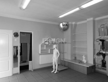 Zdjęcie 15130326
