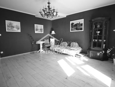 Zdjęcie 15130612