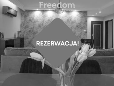 Zdjęcie 15130629