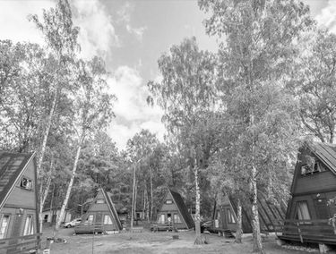 Zdjęcie 15131075