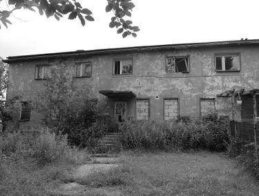 Zdjęcie 15131361