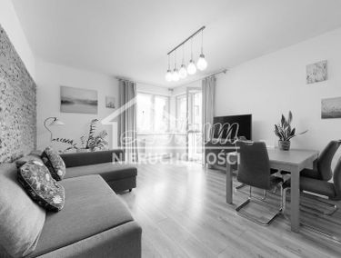 Zdjęcie 15131659