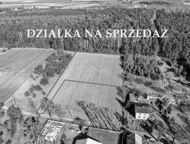 Zdjęcie 15131864