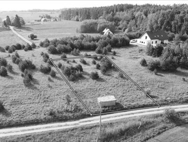 Zdjęcie 15132054