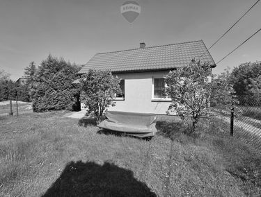 Zdjęcie 15132078