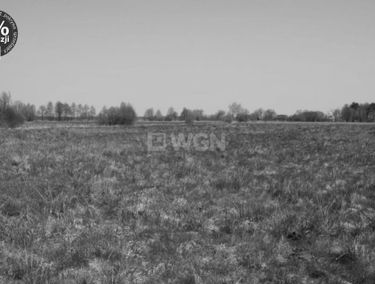 Zdjęcie 15132170