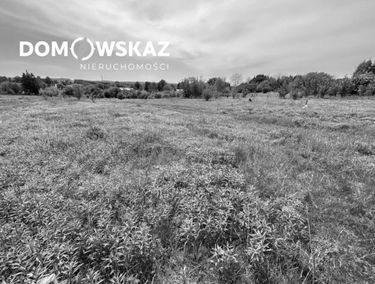 Zdjęcie 15132207