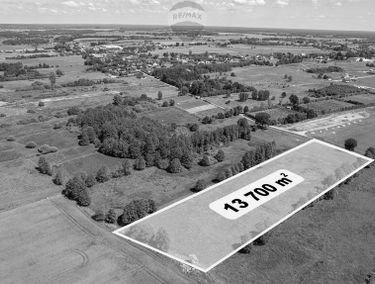 Zdjęcie 15132829