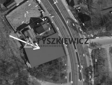 Zdjęcie 15132895