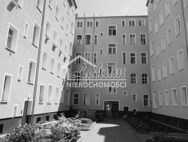 Zdjęcie 15133054