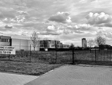 Zdjęcie 15133249