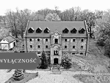 Zdjęcie 15135346