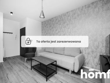 Zdjęcie 15135385