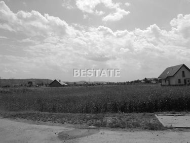 Zdjęcie 15135498