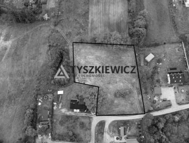 Zdjęcie 15135510