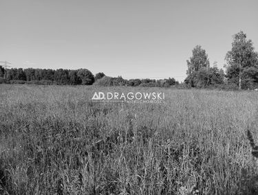 Zdjęcie 15135526
