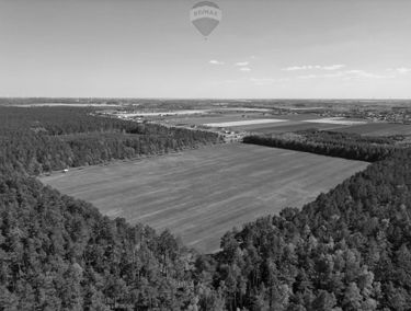 Zdjęcie 15135851