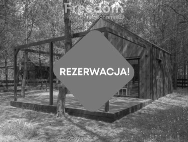 Zdjęcie 15136433
