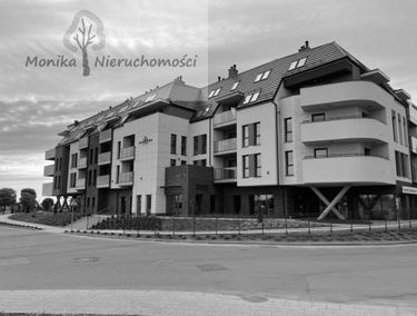 Zdjęcie 15136460