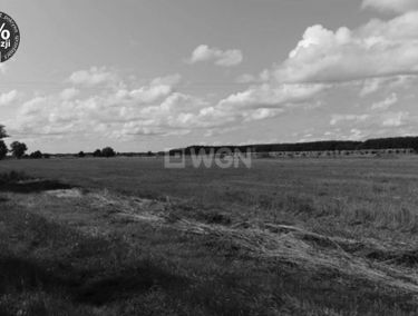Zdjęcie 15136623