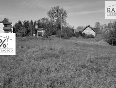 Zdjęcie 15136844