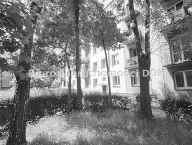 Zdjęcie 15136855