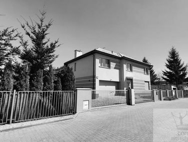 Zdjęcie 15136967