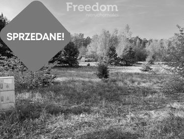 Zdjęcie 15137037