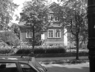Zdjęcie 15137293