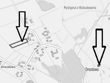 Zdjęcie 15137458