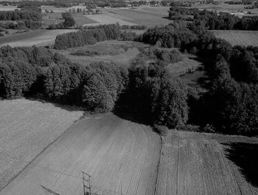 Zdjęcie 15137540