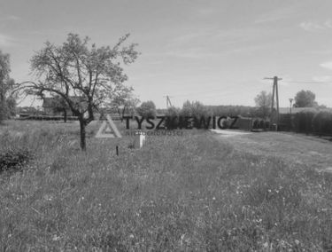 Zdjęcie 15137666