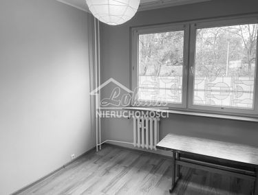 Zdjęcie 15137776