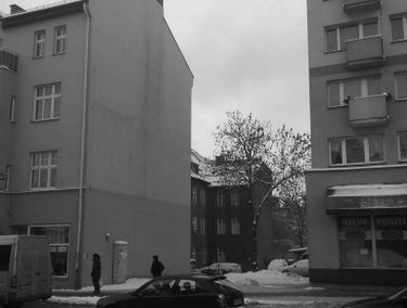Zdjęcie 15137953