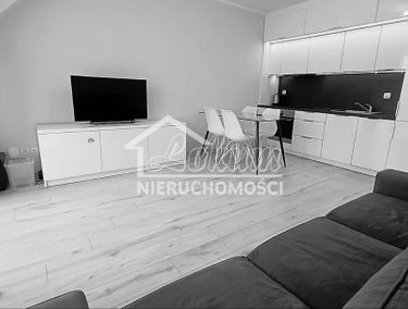 Zdjęcie 15138289