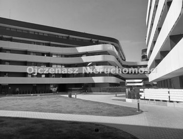 Zdjęcie 15138767