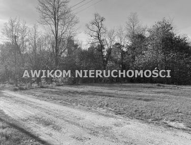 Zdjęcie 15138769