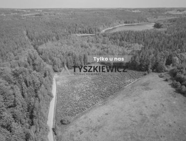 Zdjęcie 15138821