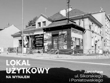 Zdjęcie 15139012