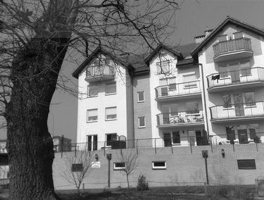 Zdjęcie 15140629