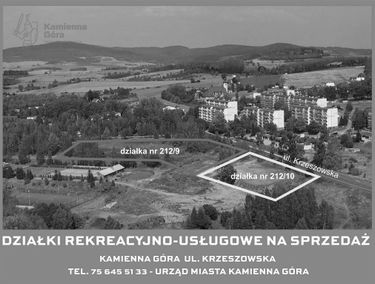 Zdjęcie 15141353