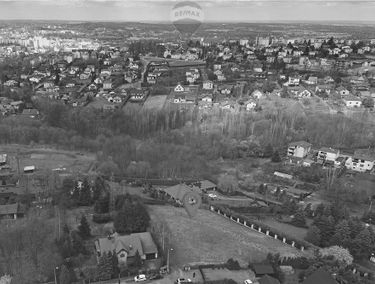 Zdjęcie 15141956