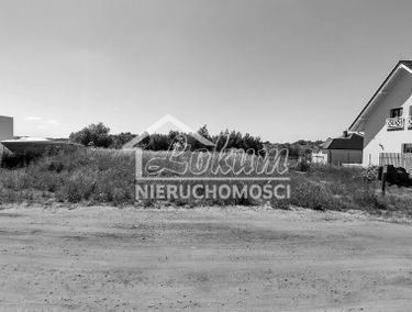 Zdjęcie 15142096