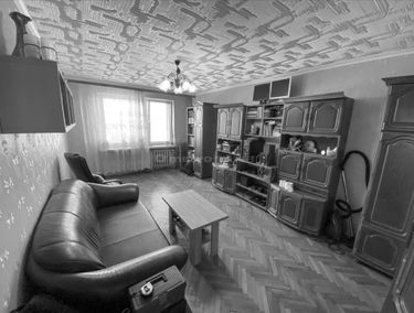 Zdjęcie 15142384