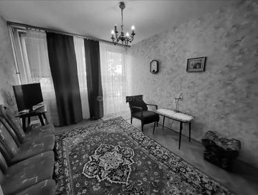 Zdjęcie 15142725