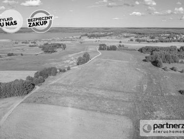 Zdjęcie 15142985
