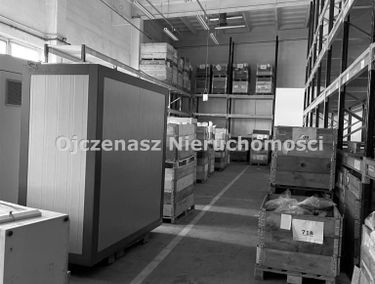 Zdjęcie 15143038