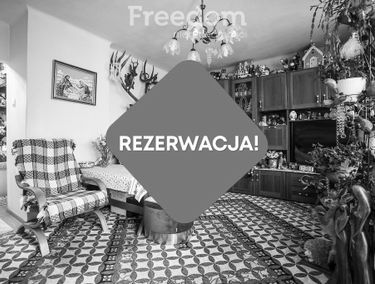 Zdjęcie 15143740